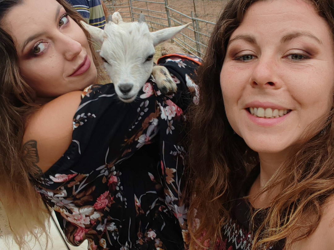 Les Animaux De Fairytale-Cap-d'Agde必去景点