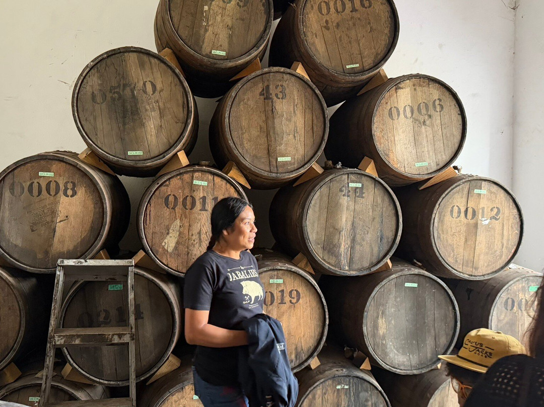 Tequila Fortaleza-特基拉必去景点