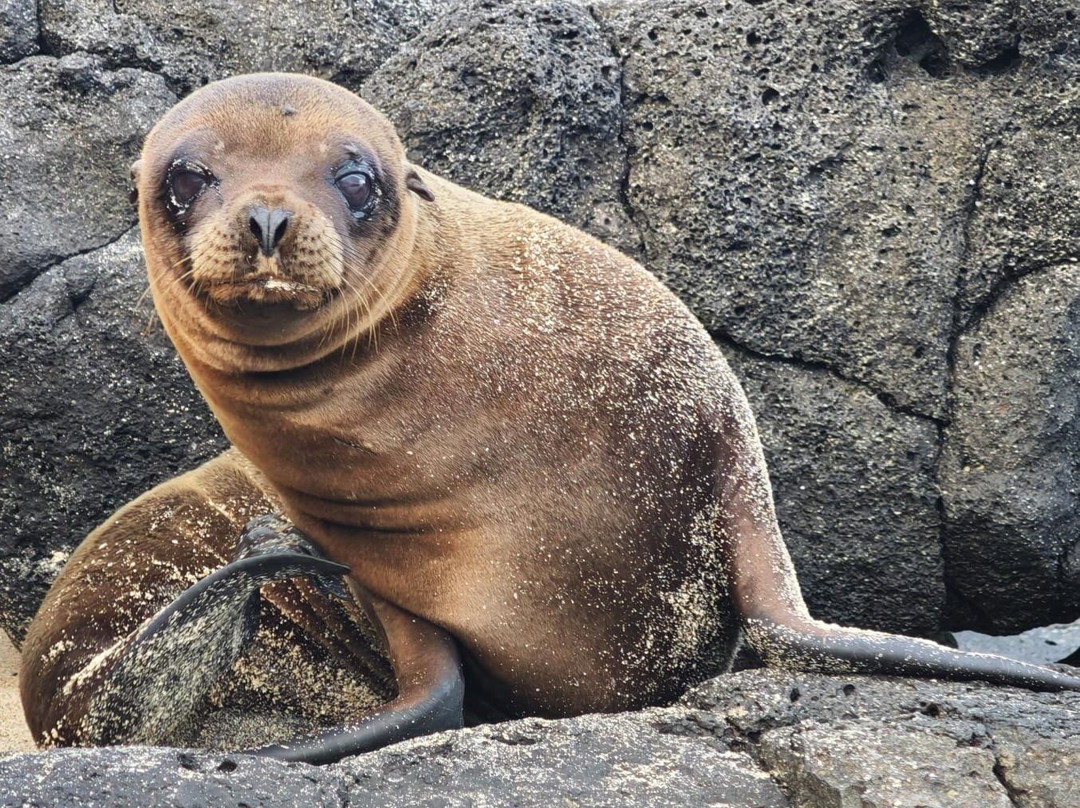 Adventure Journeys-基多必去景点