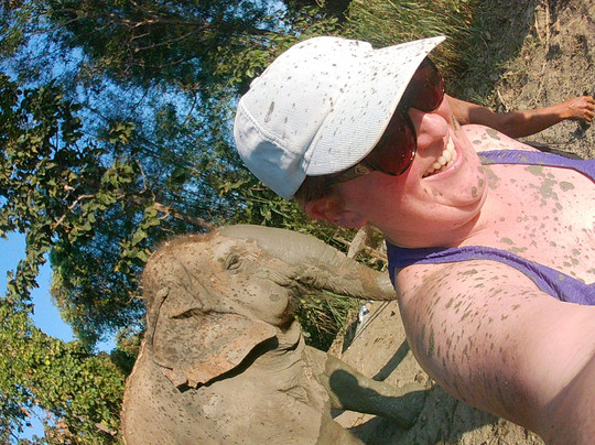 Maerim Elephant Sanctuary-夜林必去景点