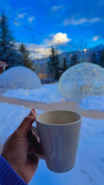 Holiday Inn 斯廷博特斯普林斯-官方