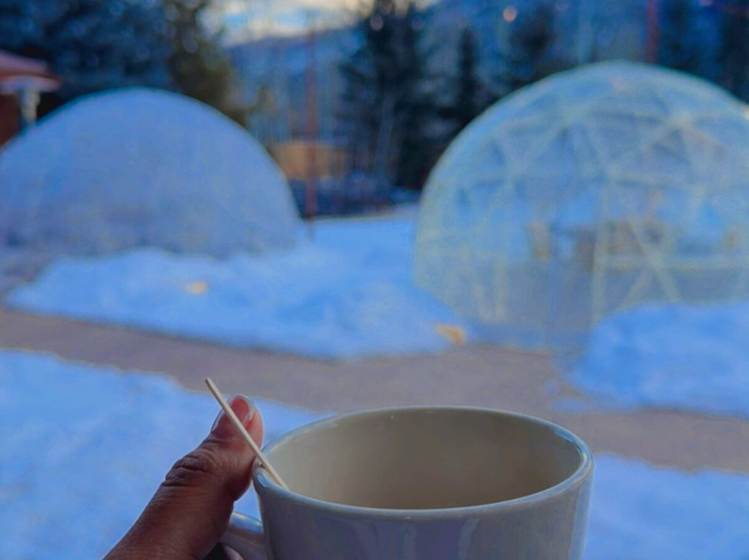 Holiday Inn 斯廷博特斯普林斯主图