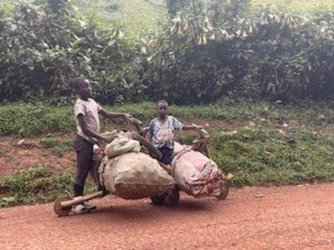 Blacksmith safaris ltd-坎帕拉必去景点