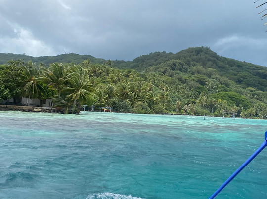 Bora Bora Lagoonarium-瓦伊塔佩必去景点