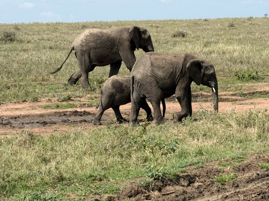iTravel Safari & Expeditions-阿鲁沙必去景点