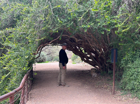 Boyce Thompson Arboretum-Superior必去景点