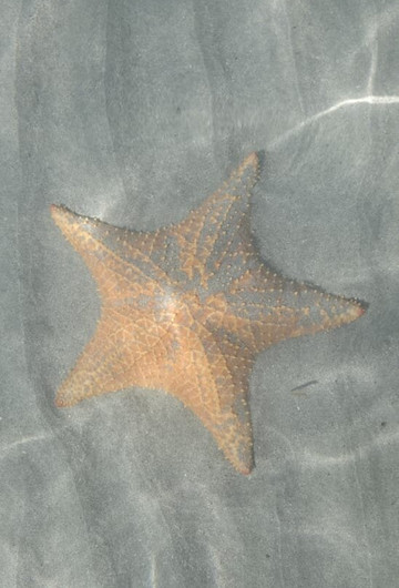 Mejitravel CR-瓜匹来斯必去景点