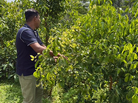 Tsara Tea-Akuressa必去景点