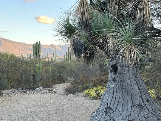 Bio Fan-Tehuacan必去景点