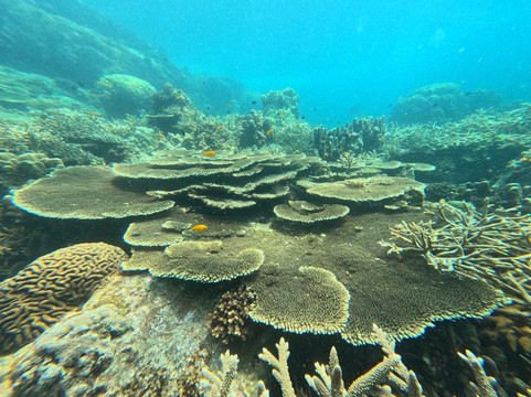 The Life Aquatic-湄南必去景点