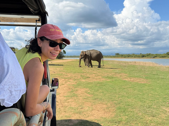Udawalawe Wild Safari Tours-乌达瓦拉瓦必去景点