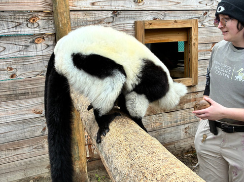 North Florida Wildlife Center-Lamont必去景点