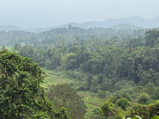 H.O.T Tourism-科伦坡必去景点