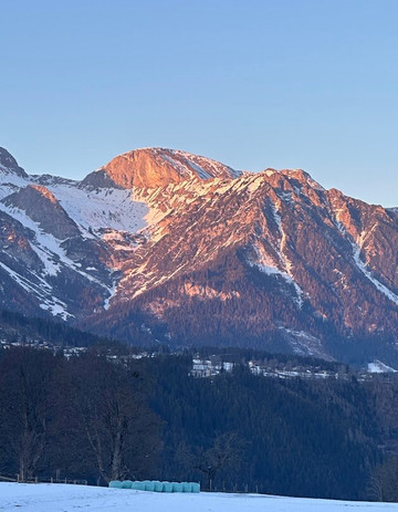 Wellness-Pension Jagahuttn主图