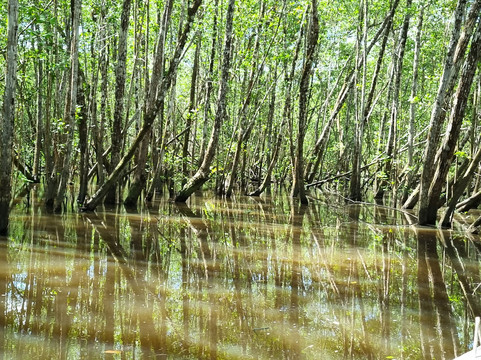 Cachoeira do Rio do Engenho ( Cachoeira do Cleandro )-Itacare必去景点