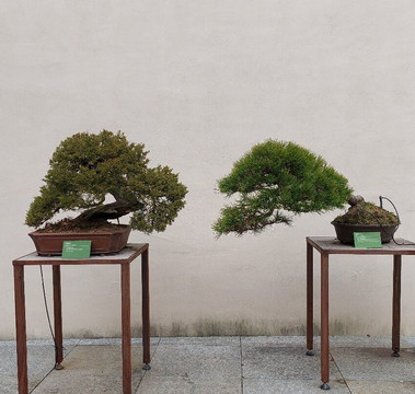 MAO - Museo d'Arte Orientale-都灵必去景点