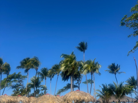 Playabachata Spa Resort