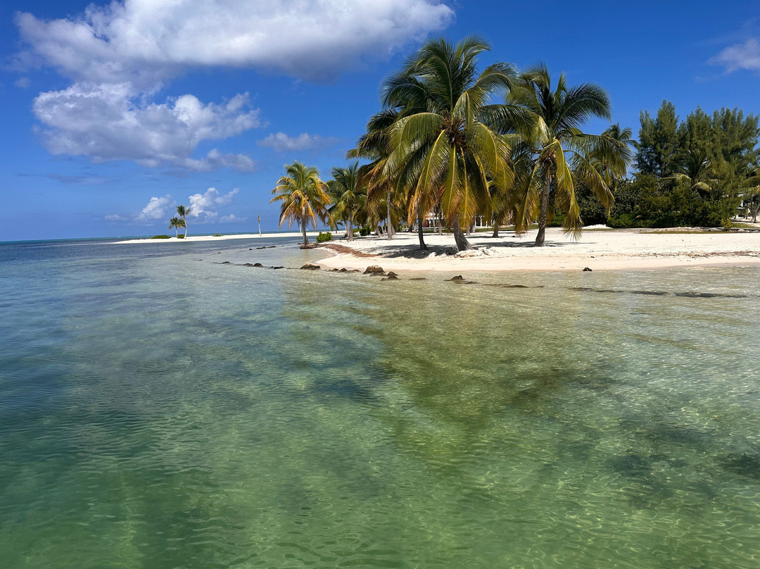 Blue Haven Charters-Rum Point必去景点