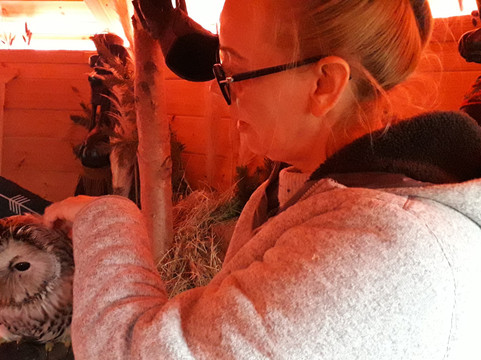 Nanny Sharon's Alpaca Farm C.I.C-Prenton必去景点