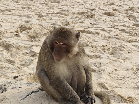 Cat Ba Green Trail Travel-下龙湾必去景点