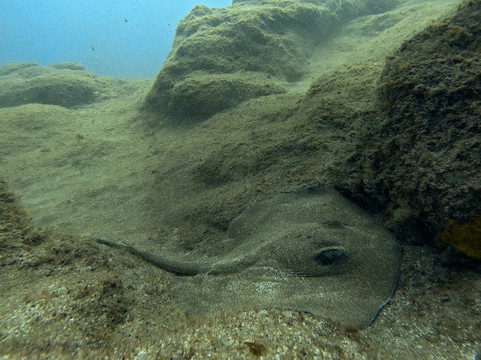 Karapat Dive-大加那利岛拉斯帕尔马斯必去景点