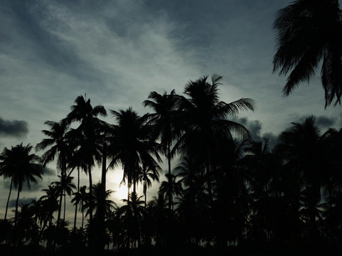 Praia De Maracaipe-嘎林海斯港必去景点