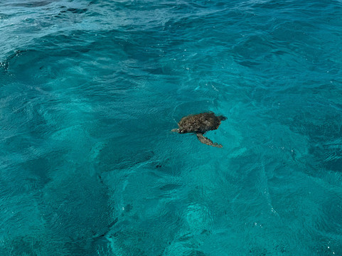 Next Level Charters Cayman-Camana Bay必去景点