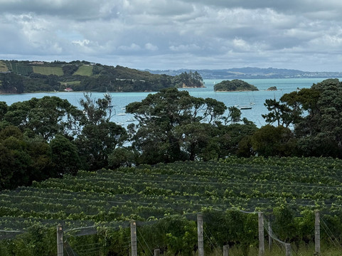 Goldie Estate-怀系奇岛必去景点