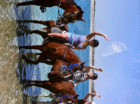 Sanam Stable-阿布扎比必去景点