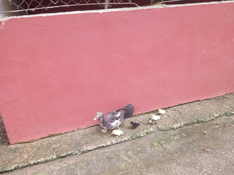 拉各斯塞特农场酒店主图