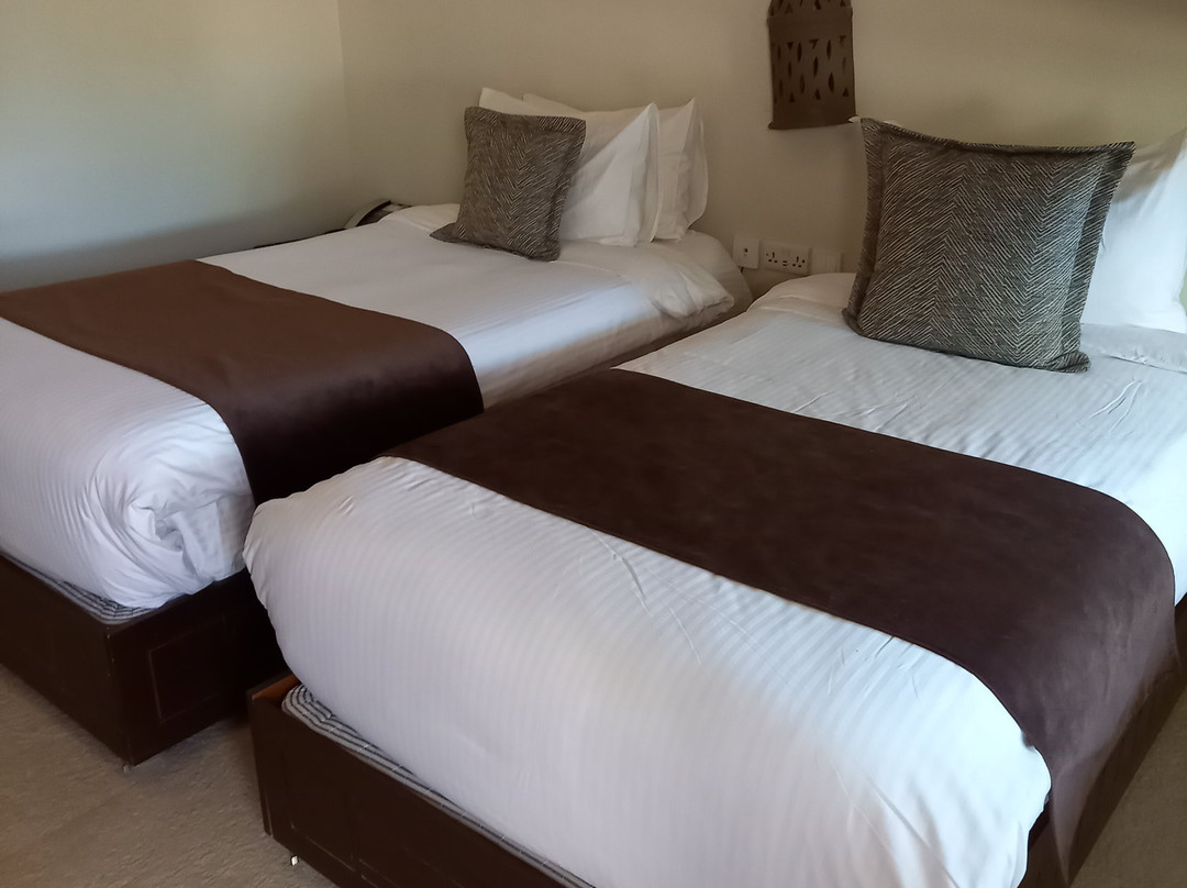 沙漠之夜度假村主图