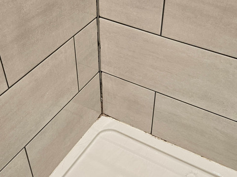 列王纹章蔻琴旅馆主图