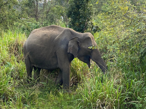HOLIDAY WORLD TRAVEL SRI LANKA-Ragama必去景点