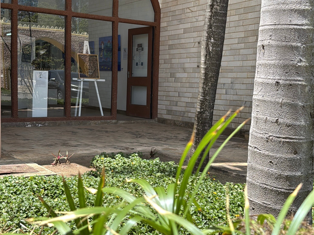 Almasi Art Agency-迪亚尼必去景点