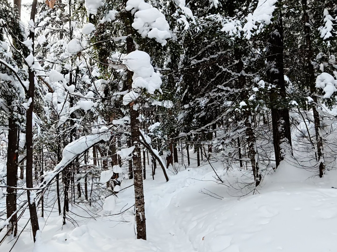 Parc regional de la Foret Ouareau-Notre-Dame-de-la-Merci必去景点