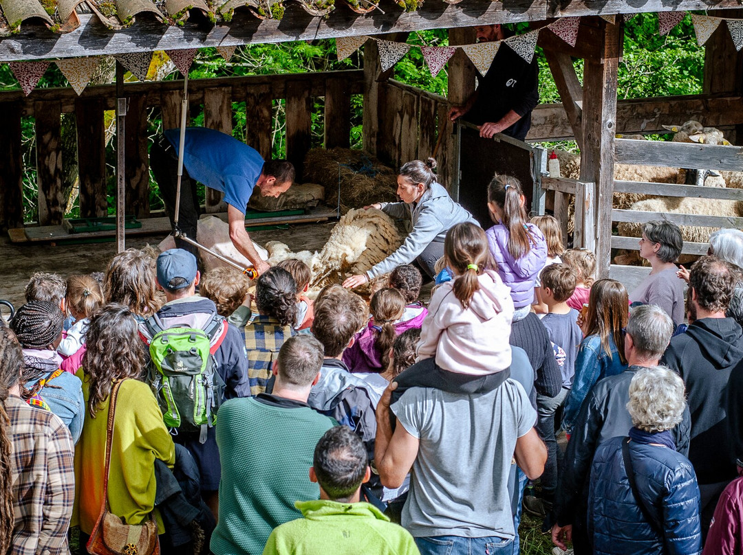 Ardelaine-Saint-Pierreville必去景点