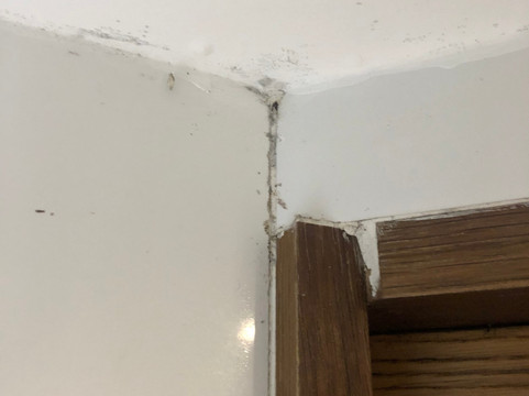 卡宴诺富特酒店主图