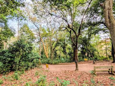 Jardin des Plantes et de la Nature-Porto-Novo必去景点