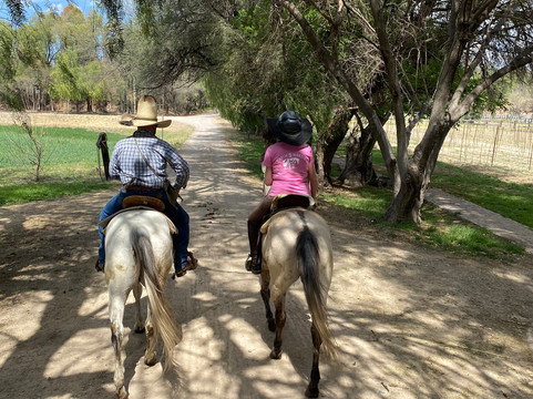 Cabalgatas Las Haciendas Horseback Adventures-Lagos de Moreno必去景点