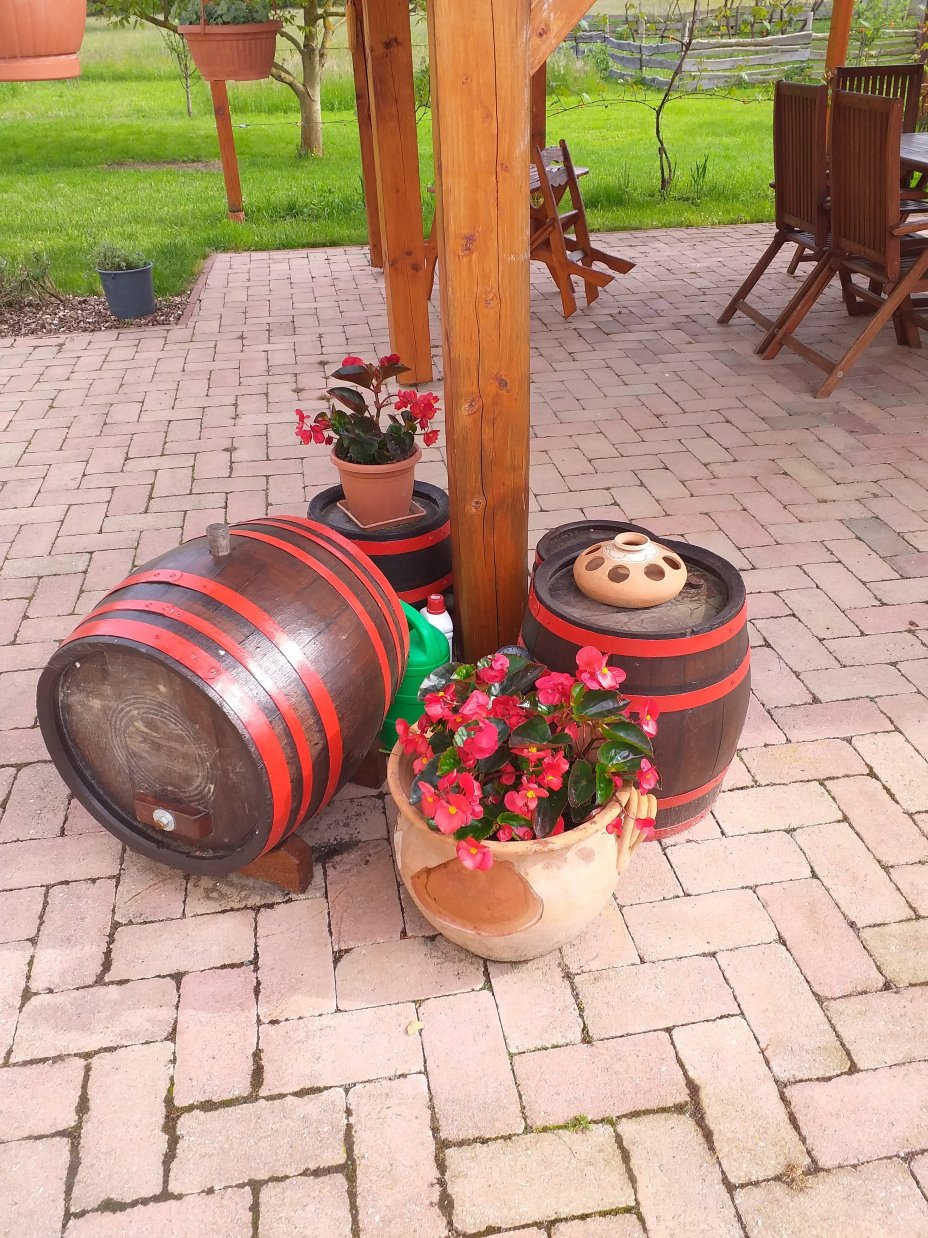 Harmatcsepp-Vendégház-官方