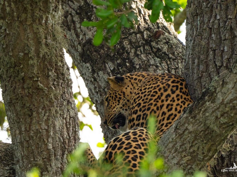 Come Visit Sri Lanka-康提必去景点