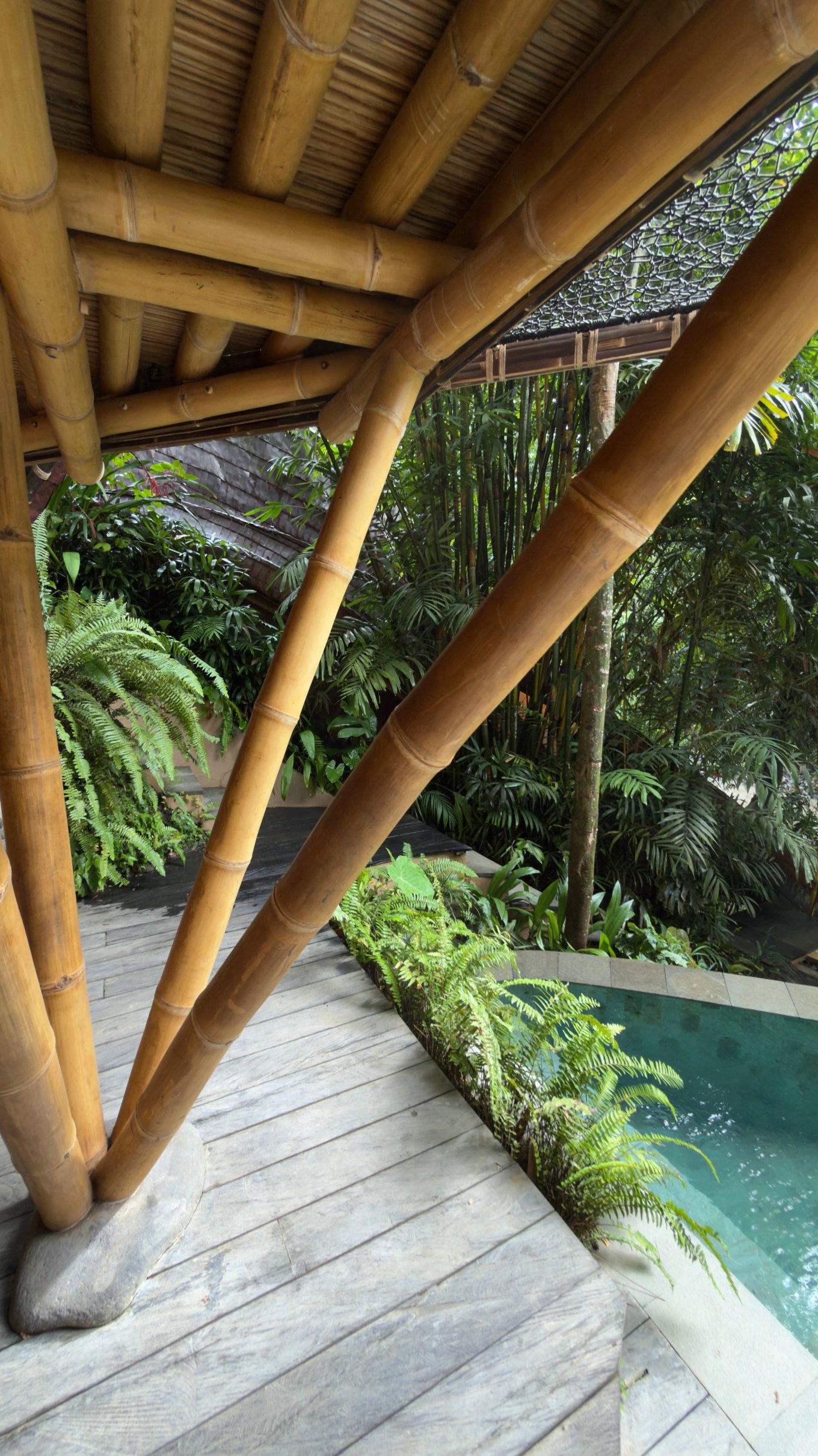 Suenyo Eco Retreat-官方