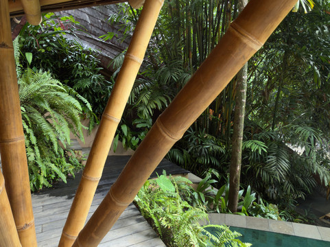 Suenyo Eco Retreat主图