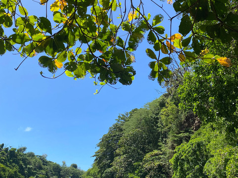 Hope Speedboat Mauritius Tours-卓得多斯必去景点