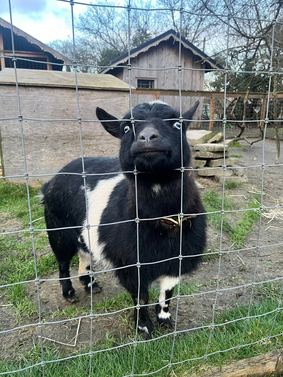 Tokeland Hotel-官方