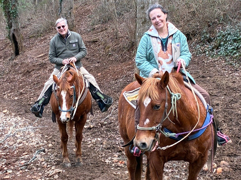 Dillard House Stables-Dillard必去景点