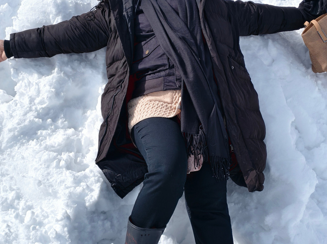 Gulmarg Gondola-贡马必去景点