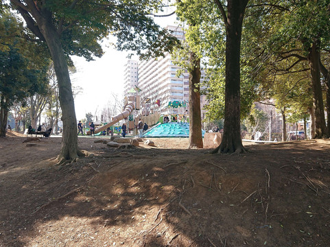 Tama Central Park-多摩市必去景点