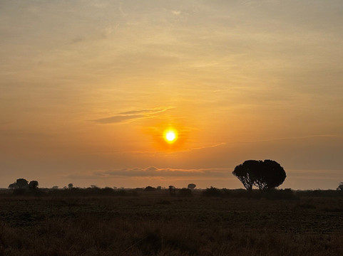 Gorilla Safaris Uganda-坎帕拉必去景点