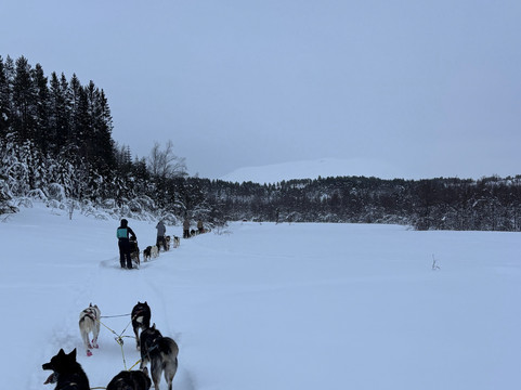 Into Nature-Meistervik必去景点